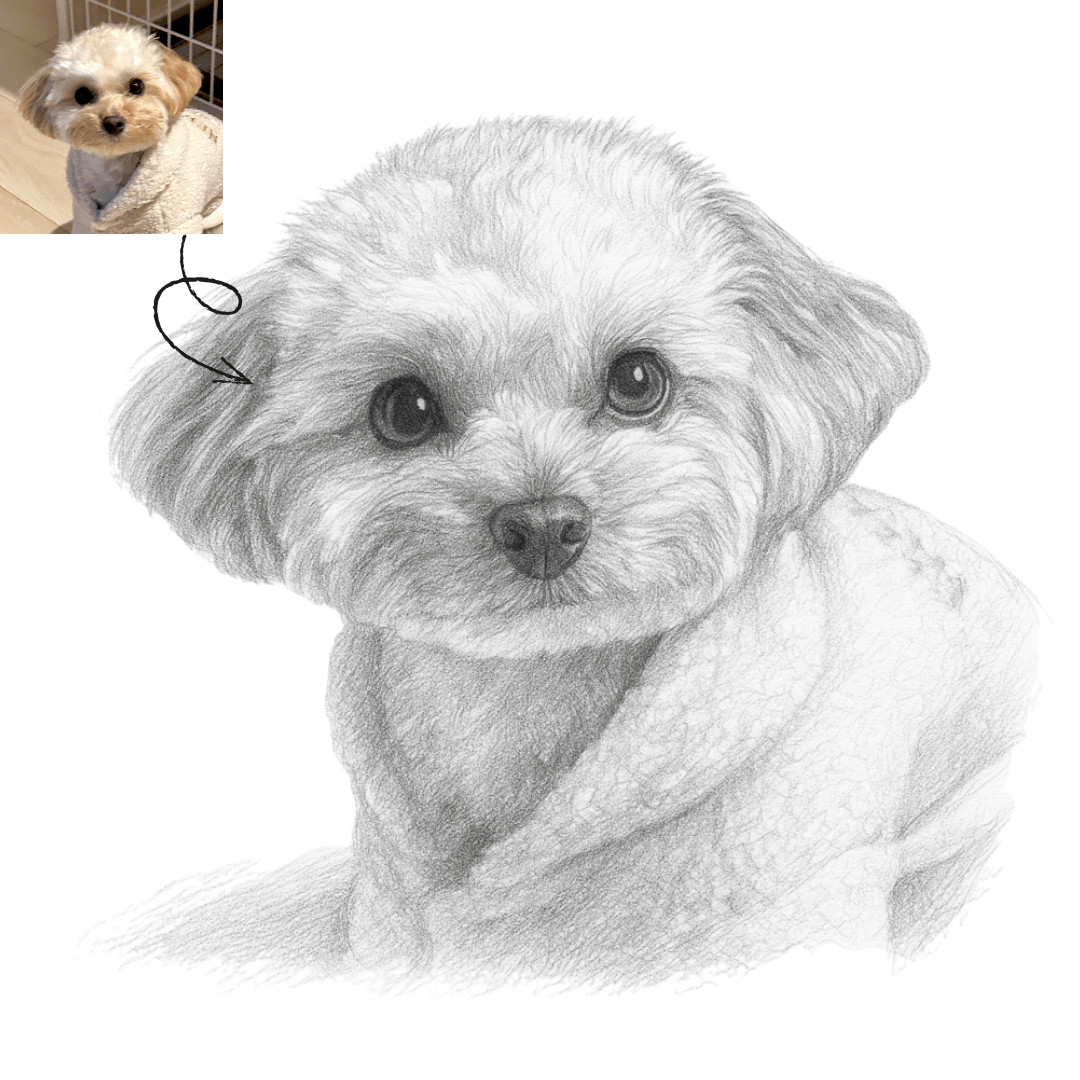 Petcanva© Portrait Personalisé