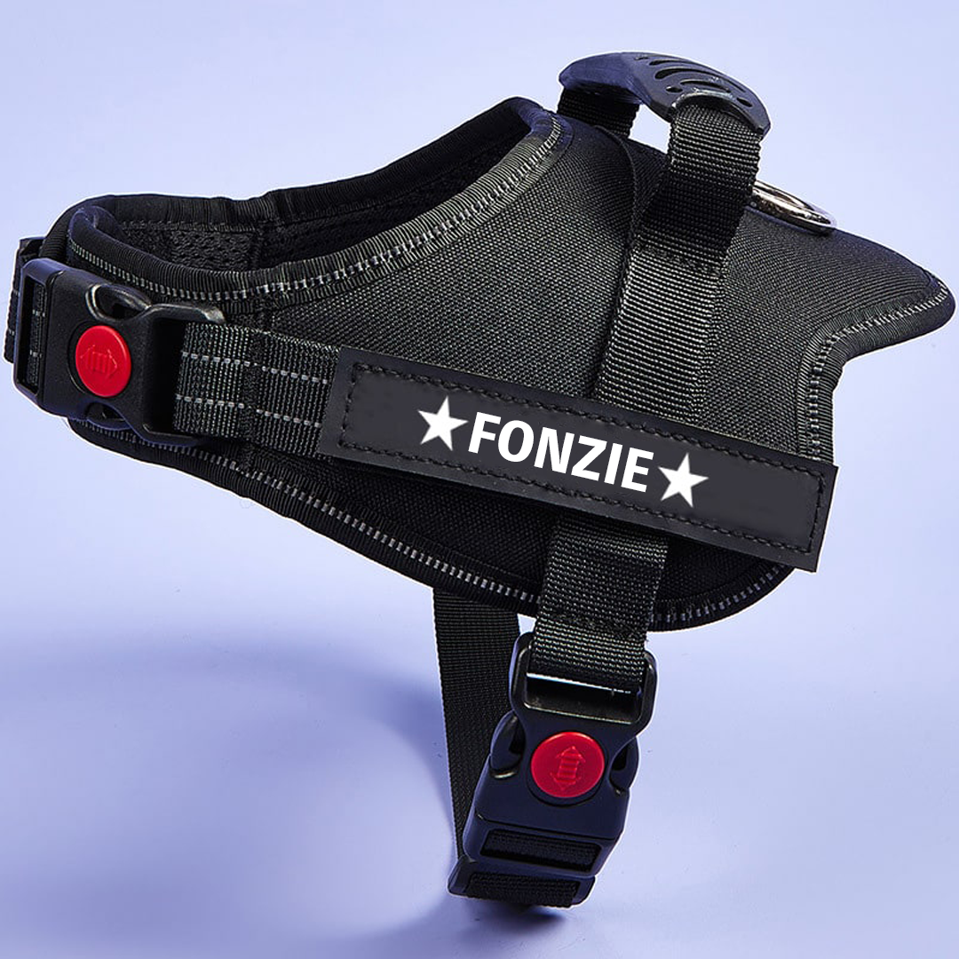No-Pull Personalized Dog Harness - MyPetcanva©