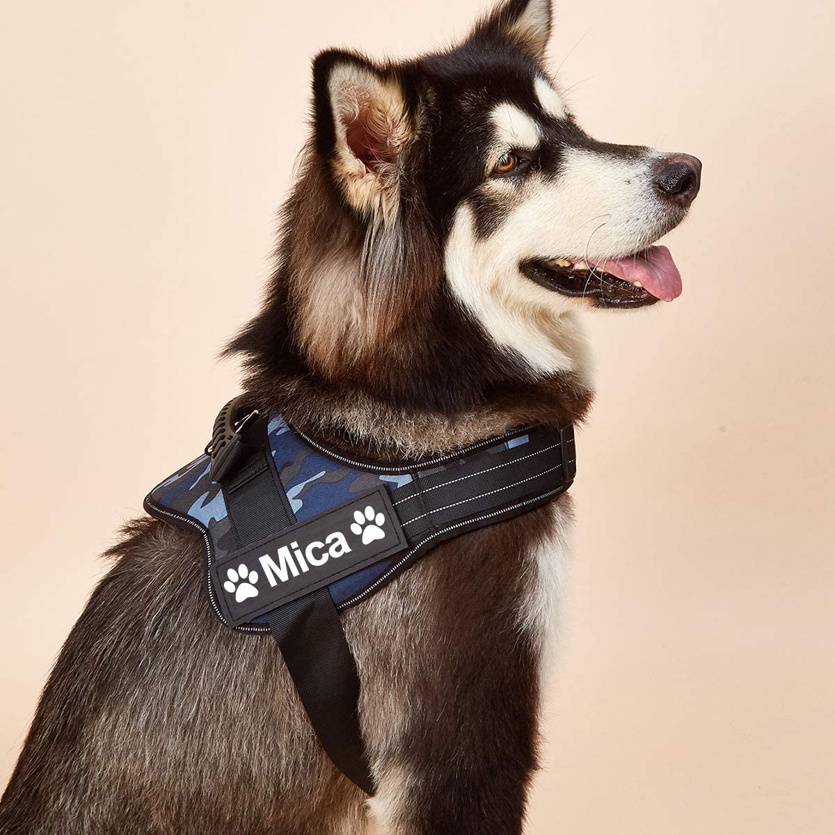 No-Pull Personalized Dog Harness - MyPetcanva©