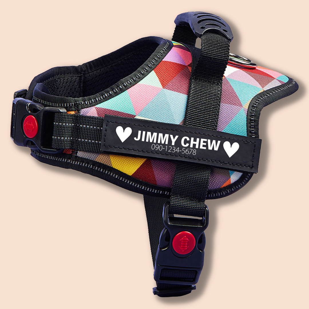 No-Pull Personalized Dog Harness - MyPetcanva©
