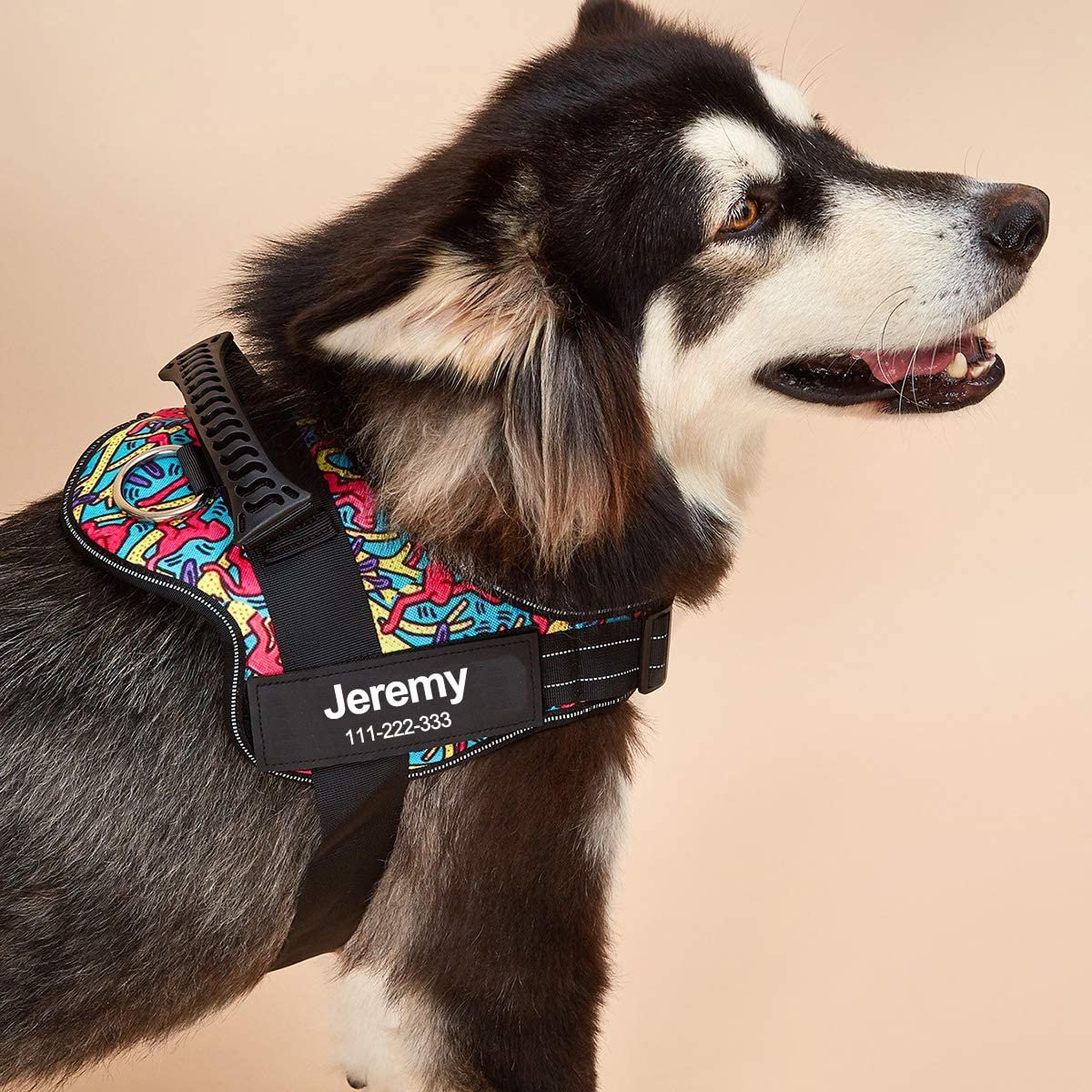 No-Pull Personalized Dog Harness - MyPetcanva©