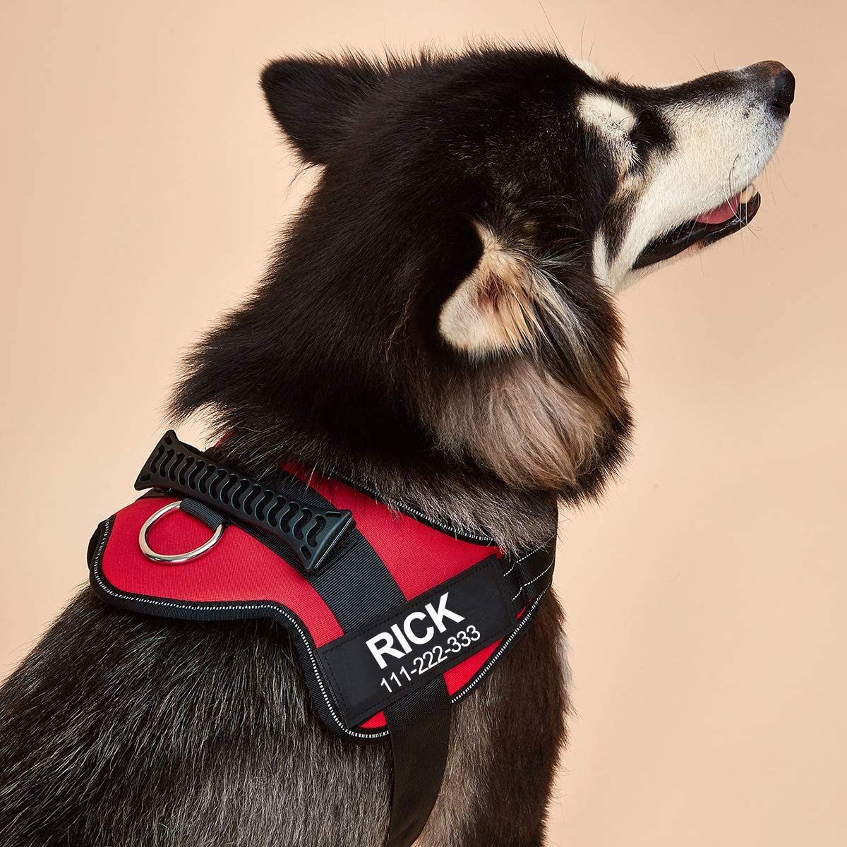 No-Pull Personalized Dog Harness - MyPetcanva©
