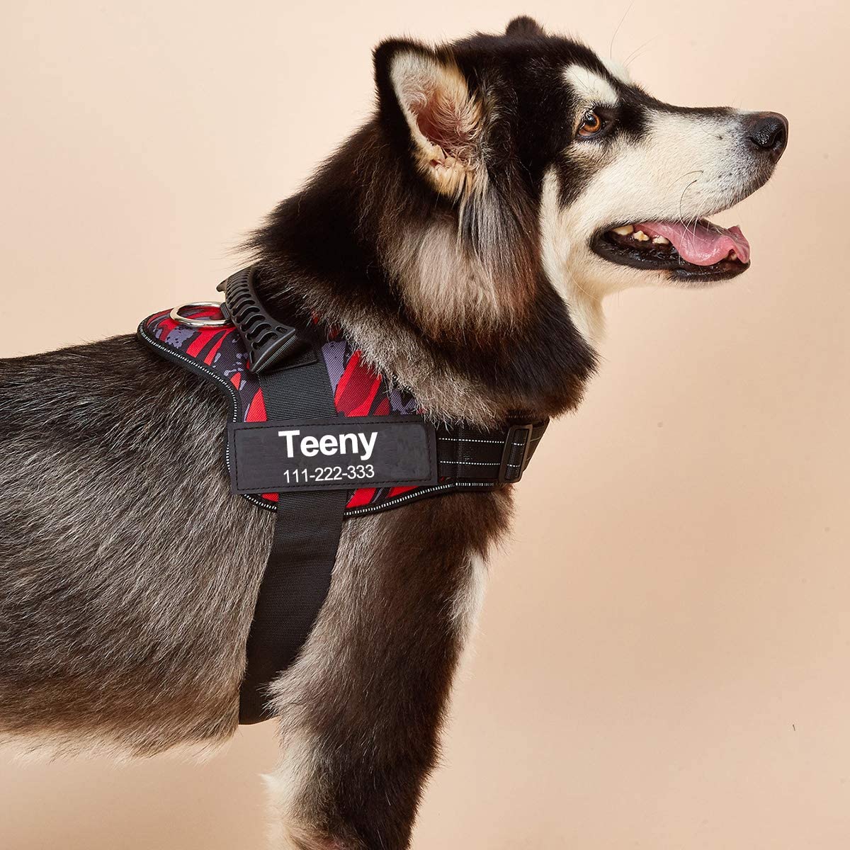 No-Pull Personalized Dog Harness - MyPetcanva©