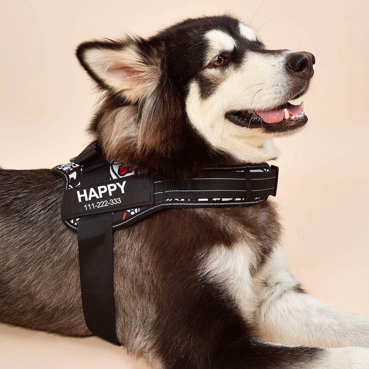 No-Pull Personalized Dog Harness - MyPetcanva©