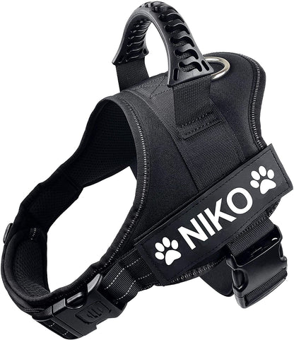 No-Pull Personalized Dog Harness - MyPetcanva©