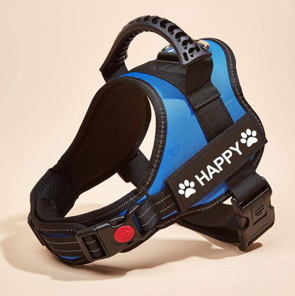 No-Pull Personalized Dog Harness - MyPetcanva©