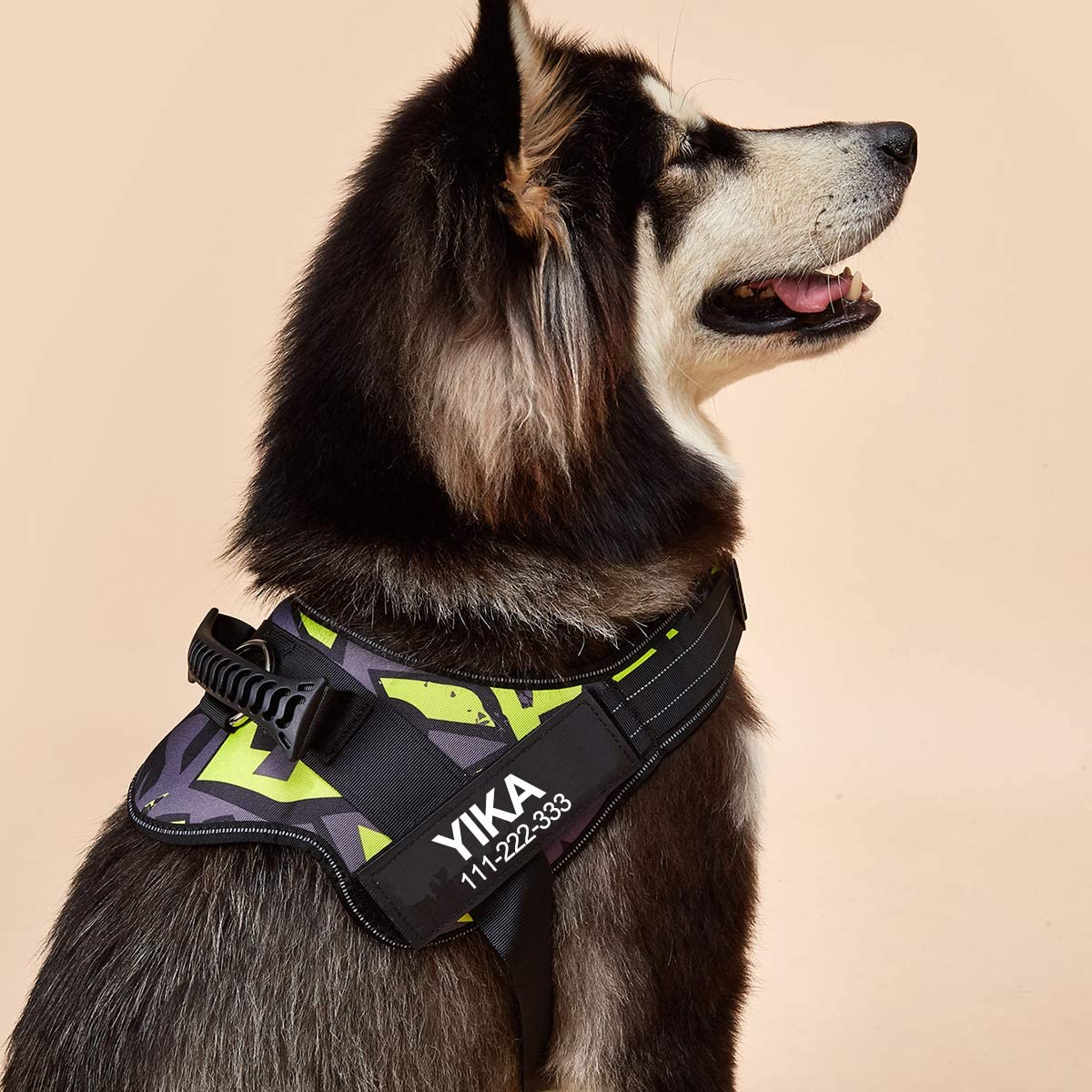 No-Pull Personalized Dog Harness - MyPetcanva©