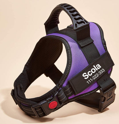 No-Pull Personalized Dog Harness - MyPetcanva©