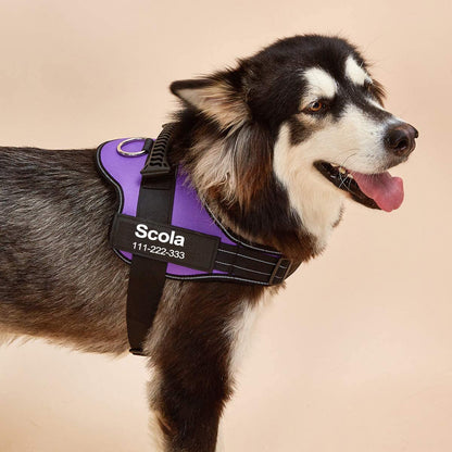 No-Pull Personalized Dog Harness - MyPetcanva©