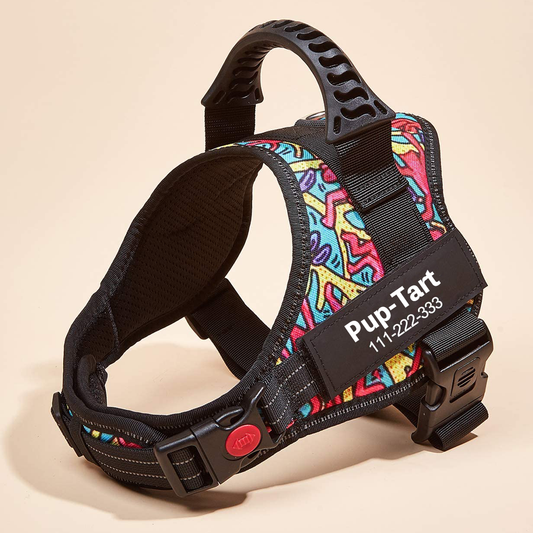No-Pull Personalized Dog Harness - MyPetcanva©