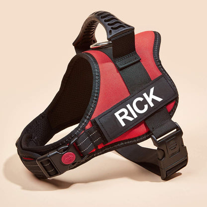 No-Pull Personalized Dog Harness - MyPetcanva©