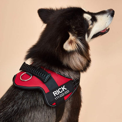 No-Pull Personalized Dog Harness - MyPetcanva©